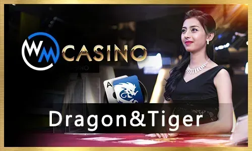 Sports Betting at Winph 6